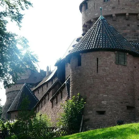 Ferien Im Elsass Apartamento Artolsheim Exterior foto